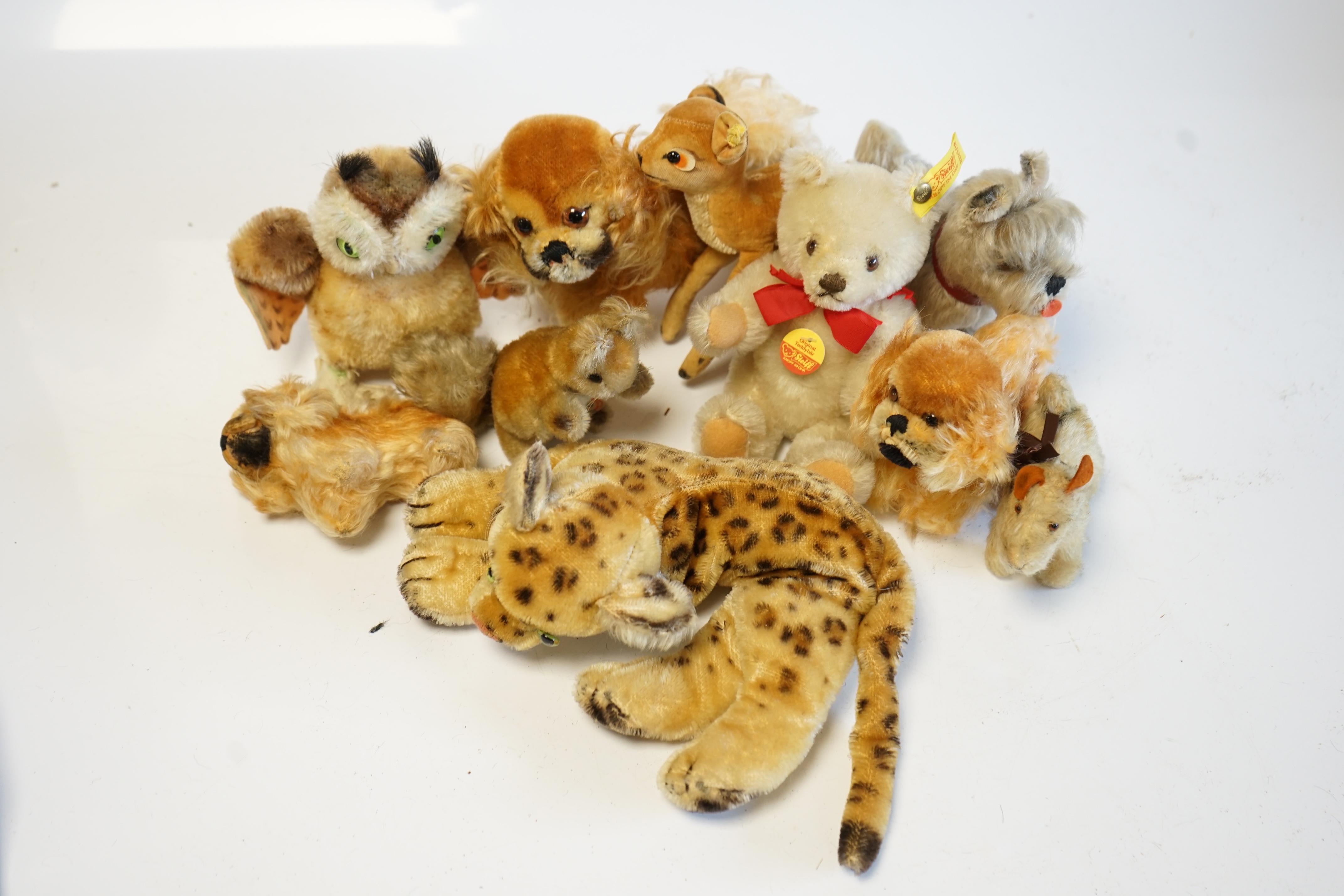 Assorted 1960's Steiff animals including three Petsy small white original teddy, Wittie owl and others (10). Condition - fair